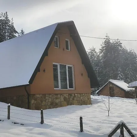 Dunja Pale